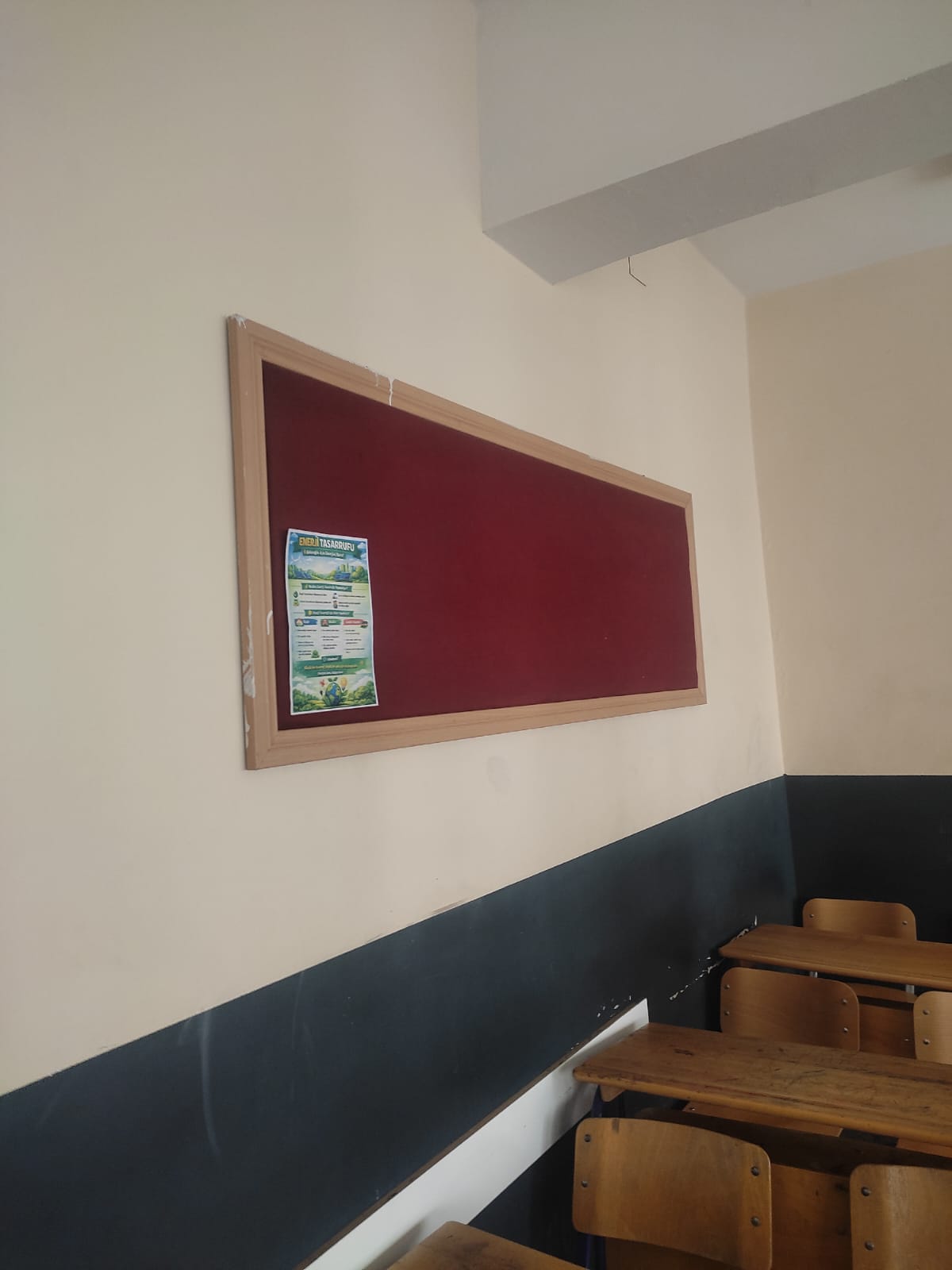 Proje